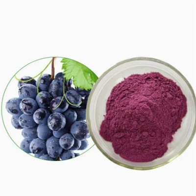 Sliocht craicinn fíonchaor sliocht craiceann fíonchaor polyphenol