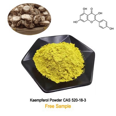 Kaempferol (campherol) CAS 520-18-3