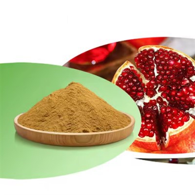 POMEGRANATE Sliocht Sliocht Polyphenols CAS 84929-27-1